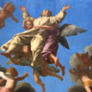 Meet your Posher, Ella